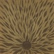 画像1: Willem Nyland "Piano Studies 337" [LP]