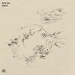 画像2: Eyvind Kang "Riparian" [LP]