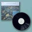 画像2: Felicia Atkinson & Christina Vantzou "Reflections Vol. 3: Water Poems" [LP]