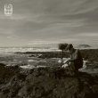 画像1: BJNilsen "True than Nature" [CD]