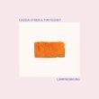 画像1: Cassia Streb & Tim Feeney "Lampworking" [CD]