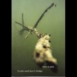 画像1: Benjamin Bondonneau / David Chiesa / Wilfried Deurre / Kristof Guez / Lionel Marchetti "Partie de peche" [CD + A5 cover 8 pages]
