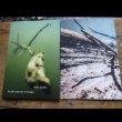画像2: Benjamin Bondonneau / David Chiesa / Wilfried Deurre / Kristof Guez / Lionel Marchetti "Partie de peche" [CD + A5 cover 8 pages]