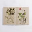 画像4: øjeRum "Stigma" [144 pages book + CD]