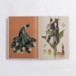 画像3: øjeRum "Stigma" [144 pages book + CD]