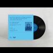 画像3: Natalia Beylis "Love-In-A-Mist, Edible" [LP]
