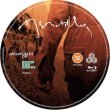 画像3: MISMANTLER (NURSE WITH WOUND SOUNDTRACK) [Blu-ray + CD]