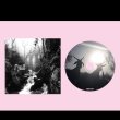 画像2: Fjall "From The Rough Hill" [CD]
