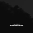画像1: William Basinski "The Disintegration Loops - Arcadia Archive Edition" [4CD Box]