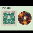 画像2: Paul Taylor "Whirl And Magnet" [CD]