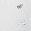 画像1: Yvan Etienne "Twist" [CD]