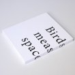 画像1: Thomas Tilly "Birds measuring space" [CD + Insert]