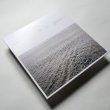 画像2: Andrea Borghi "Palsecam" [LP]