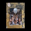 画像1: Are Mundal "A Prior Beef Between two Mummified Insects" [LP]
