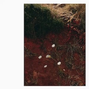 画像: Andrew Tuttle & Darren Cross "AT/DC" [CD]