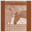 画像1: J.WLSN & Liam Keenan "Country/The Country" [CD]
