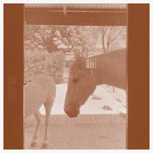 画像: J.WLSN & Liam Keenan "Country/The Country" [CD]