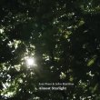 画像2: Jem Finer & John Matthias "Almost Starlight" [CD]