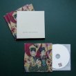 画像2: Radio Selena "PIECES IN A MODERN STYLE" [CD-R]
