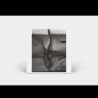 画像2: Push For Night "That Porous Line" [CD]