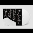 画像2: X-Ray Hex Tet [CD]