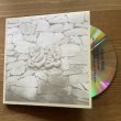 画像2: Manja Ristic "lights shimmered like whispers in the depths of the trees" [CD]