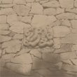 画像1: Manja Ristic "lights shimmered like whispers in the depths of the trees" [CD]