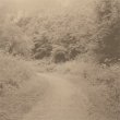 画像1: Izabela Dluzyk "Journey Home" [CD]