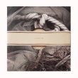 画像2: Eyes of the Amaryllis "Sift" [LP]
