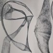 画像1: Kate Carr and Matt Atkins "Organelles" [CD]
