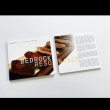 画像2: Gayle Young "Lithophonica by Gayle Young and James Harley" [2CD + 8 Panel Foldout Cover]