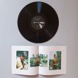 画像2: Riccardo Sinigaglia "L'Uccello Del Paradiso (1974-84)" [LP]