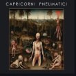 画像1: Capricorni Pneumatici "Variants" [CD]