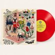 画像2: Brannten Schnure "Sommer Im Pfirsichhain" [Red Transparent LP]