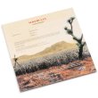 画像2: Thomas Barriere "Alkebulan" [LP]