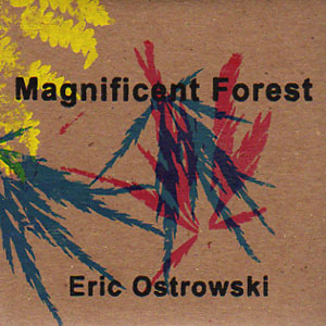 画像1: Eric Ostrowski "Magnificent Forest" [CD+DVD]
