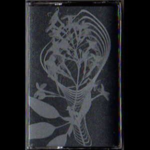 画像1: Aemae "And Tongueless, I Can Conjure You At Will" [Cassette]