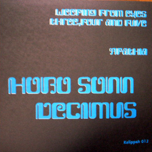 画像2: Hobo Sonn and Decimus "Hobo Sonn/Decimus Split LP" [LP]