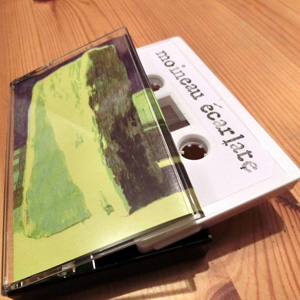 画像2: Moineau Ecarlate | Valentin Ferre [Cassette]