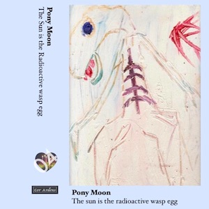 画像1: Pony Moon "The Sun is the Radioactive wasp egg [Cassette]