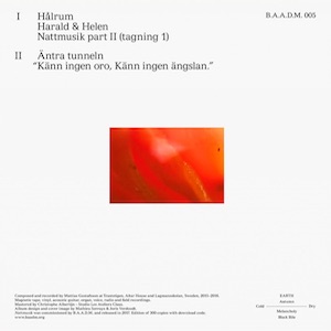 画像2: Mattias Gustafsson "Nattmusik" [LP]