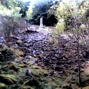 画像1: Jarra "The Attack of the Mountain" [Jarra Self-released CD-R]