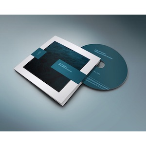 画像2: Ian Nyquist "Endless, Shapeless" [CD]