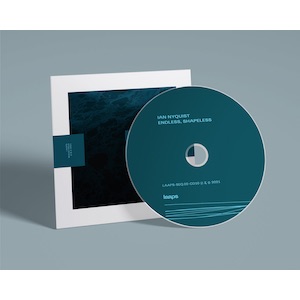 画像3: Ian Nyquist "Endless, Shapeless" [CD]