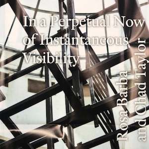 画像1: Rosa Barba, Chad Taylor "In a Perpetual Now of Instantaneous Visibility" [CD]