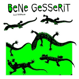 画像1: BeNe GeSSeRiT "Eccentric ????" [CD]