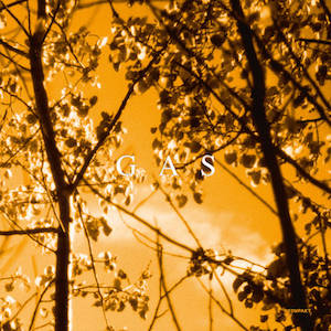 画像1: GAS "K​onigsforst" [CD]