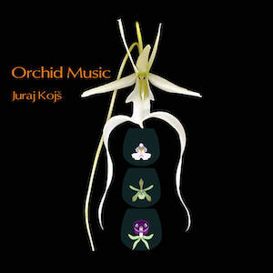 画像1: Juraj Kojs "Orchid Music" [CD]