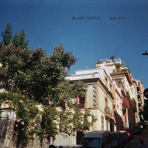 画像1: Alex York "Black Tupelo" [CD]