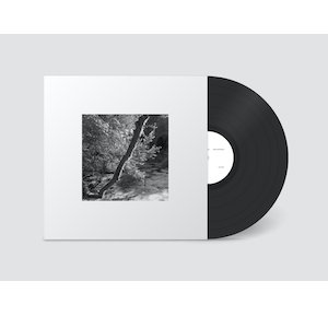 画像2: Maurizio Abate & Luca Venitucci "Peace and Pleasure" [LP]
